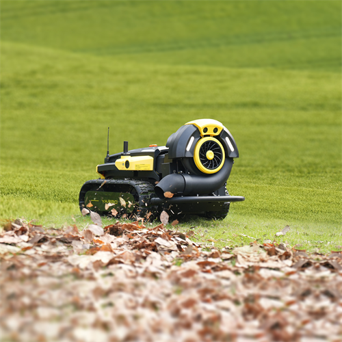 Gallery Image Blower.png