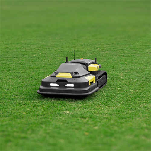 Gallery Image Lawn_Mower.png