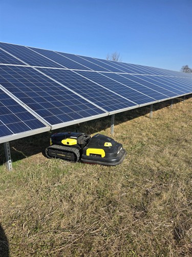 Gallery Image Solar_Farm.jpg