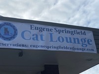 Eugene Springfield Cat Lounge - Springfield