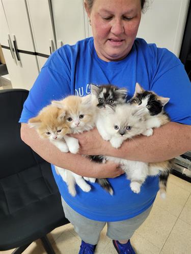 An Armfull of Fluff An Armfull of Fluff