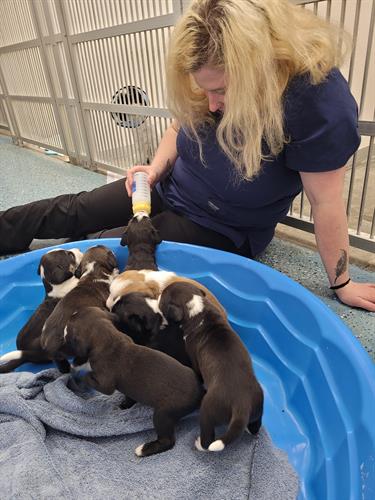 Feeding Time!! Feeding Time!!