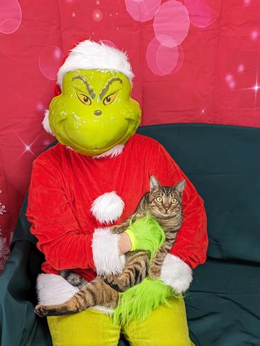 All I want for Christmas is to get out of Grinch's arms All I want for Christmas is to get out of Grinch's arms