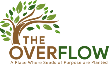 The Overflow NC Inc. The Overflow NC Inc.