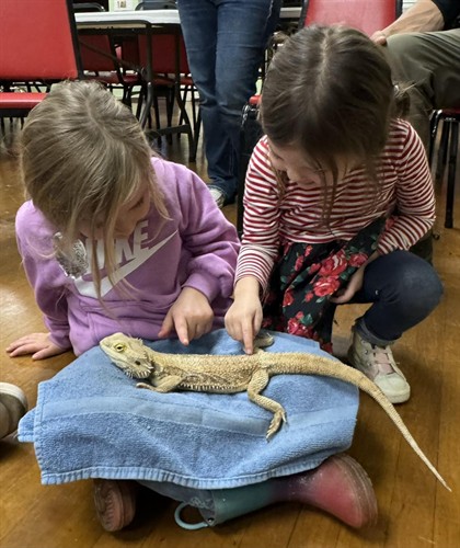 Gallery Image Bearded_Drago_touch.jpg