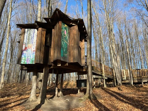 Gallery Image Treehouse_Whole.jpg