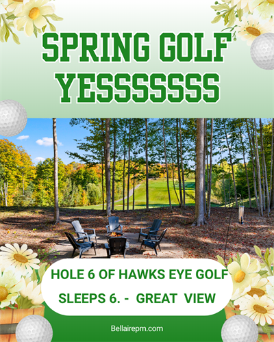 Gallery Image Yesssssss.png