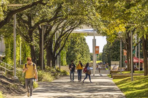 UTD: Campus Beauty with more than 7,000 trees