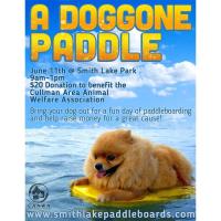 A Doggone Paddle 