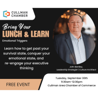 Bring Your Lunch & Learn: Emotional Triggers
