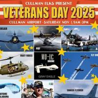 Annual Veterans Day Celebration