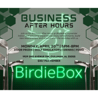 Business After Hours: Birdie Box