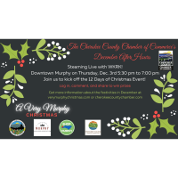 12 Days of Christmas Livestream from Downtown Murphy