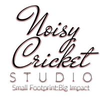 Noisy Cricket Studio | Media & Web Consultant