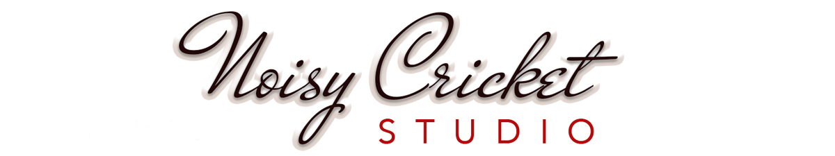 Noisy Cricket Studio | Media & Web Consultant