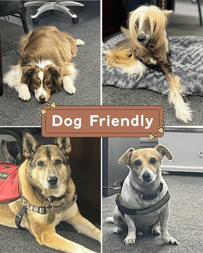 Gallery Image DogFriendly.jpg Gallery Image DogFriendly.jpg