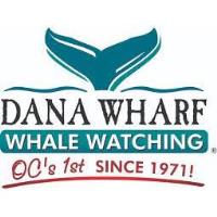 Enjoy the Holiday Season with Dana Wharf Sportsfishing and Whale Watching