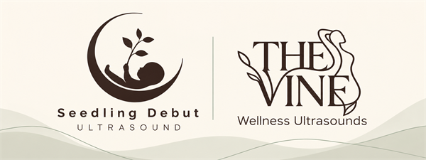 Seedling Debut Ultrasound