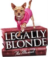 Un-Common Theatre Company presents:  "Legally Blonde the Musical"