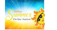 Sizzling Summer On-line Auction