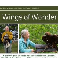Meet The Wings of Wonder