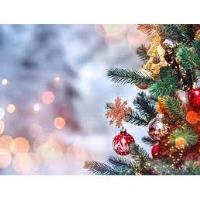 Frankfort Community Tree Lighting