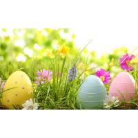 Frankfort Easter Egg Hunt
