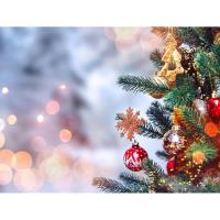 Frankfort Community Tree Lighting