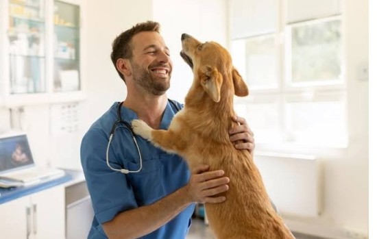 Pets, Livestock & Veterinary