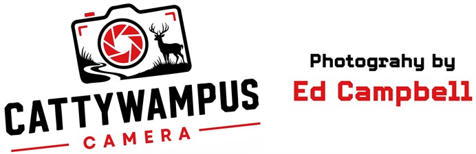 Cattywampus Camera