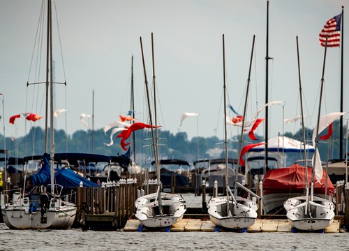Gallery Image _DSC2357.jpg