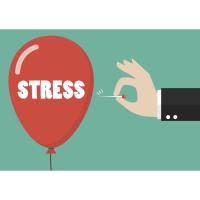 October Chamber Luncheon -The Brain and Uncertainty: How to Manage Stress During Times of Uncertainty 