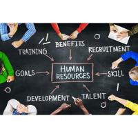 Common HR Questions for Small Businesses