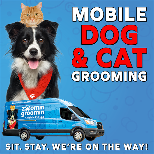 Gallery Image ZG_FB_AD_DOG_CAT(1).png