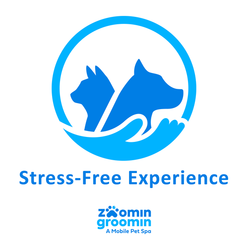 Gallery Image ZG_Stress_Free-01(1).png