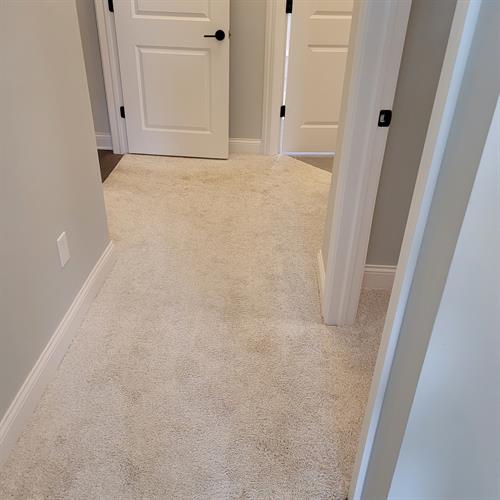 Gallery Image CArpet_3_(2).jpg