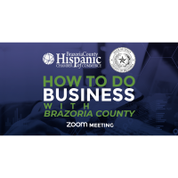 "How to do business with Brazoria County"