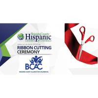 Brazoria County Alliance for Children Inc.