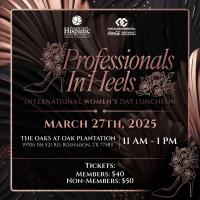 2025 Professionals In Heels Luncheon