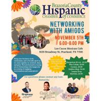 Networking with Amigos