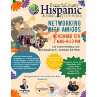 Networking with Amigos