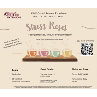 Stress Reset: A Self Care & Renewal Experience