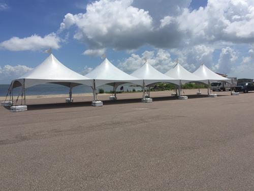 Gallery Image 20x100_(4).jpg