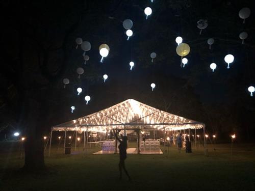 Gallery Image IMG_6545.jpg