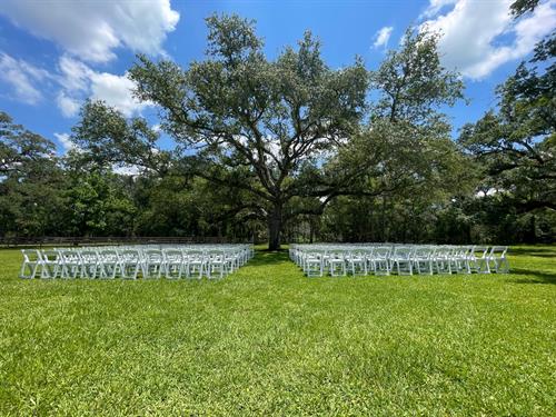 Gallery Image chairs.jpg