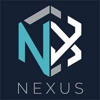 Nexus Online Strategies