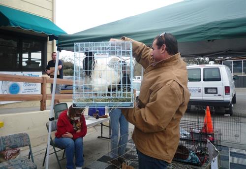 Gallery Image ROOSTER_ADOPTION_12-15-12.jpg