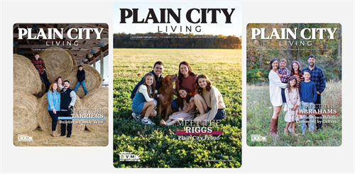 Gallery Image PCL.png