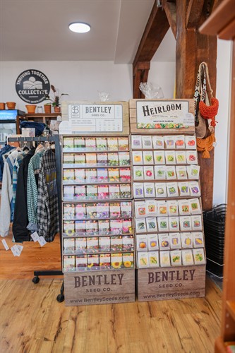 Gallery Image Shop_(6).jpg