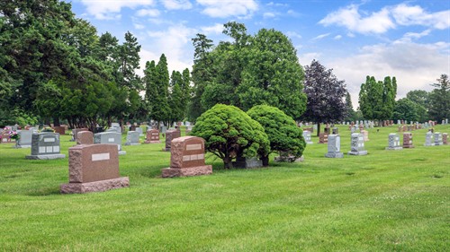 Gallery Image 5486_50068.jpg